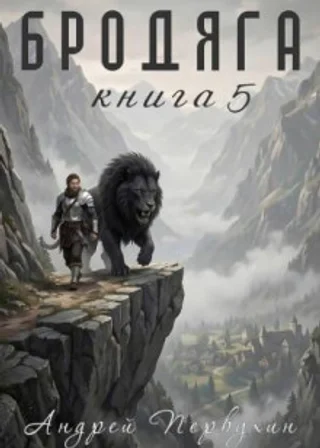 Бродяга Книга пятая