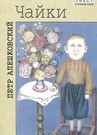 Чайки