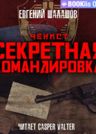 Чекист. Секретная командировка.