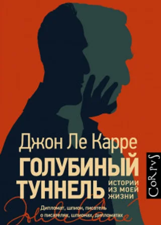 Голубиный туннель. Истории из моей жизни