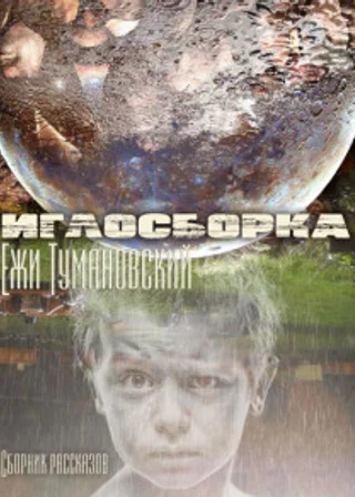 Иглосборка