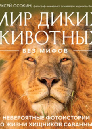 Мир диких животных без мифов. Невероятные фото-истории о жизни хищников саванны