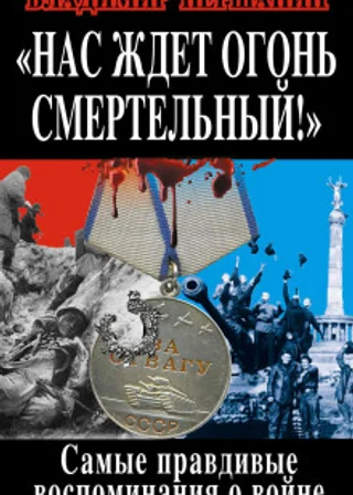 Нас ждет огонь смертельный! Самые правдивые воспоминания о войне