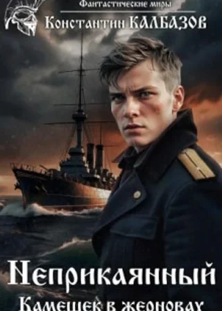 Неприкаянный. Камешек в жерновах