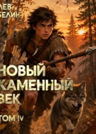 Новый каменный век. Том IV