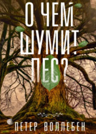 О чём шумит лес?