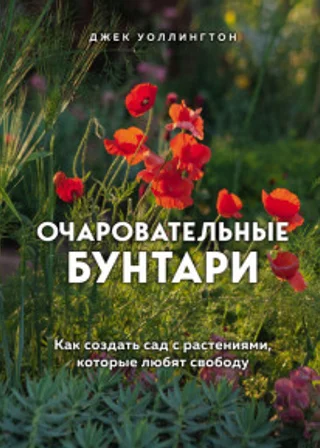 Очаровательные бунтари. Как создать сад с растениями, которые любят свободу