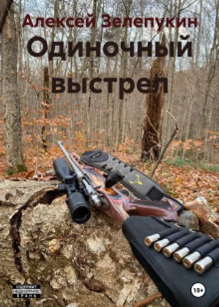 Одиночный выстрел