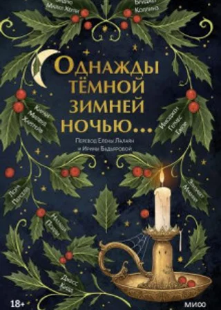 Однажды темной зимней ночью...