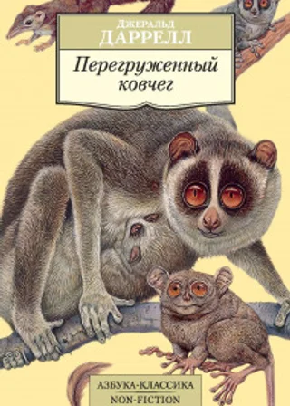Перегруженный ковчег