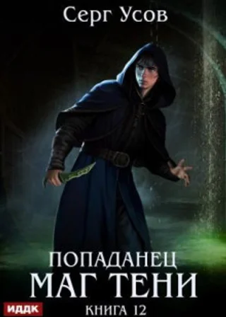 Попаданец. Маг Тени. Книга 12