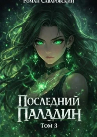 Последний Паладин. Том 3
