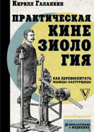 Практическая кинезиология. Как перевоспитать мышцы-халтурщицы