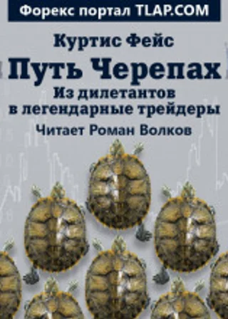 Путь Черепах. Из дилетантов в легендарные трейдеры