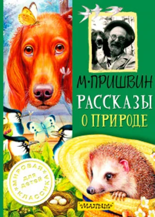 Рассказы