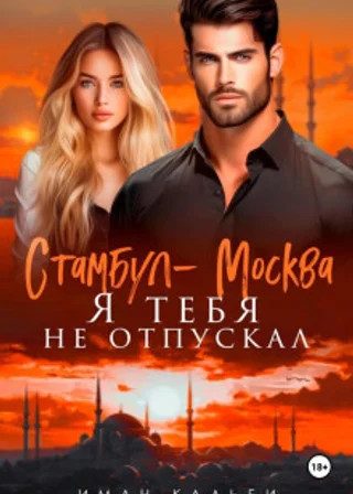 Стамбул-Москва. Я тебя не отпускал