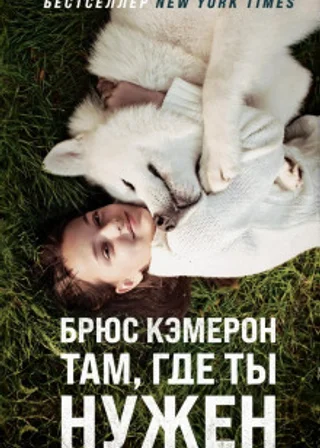Там, где ты нужен