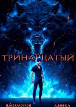 Тринадцатый. Том 4