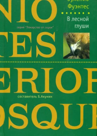 В лесной глуши