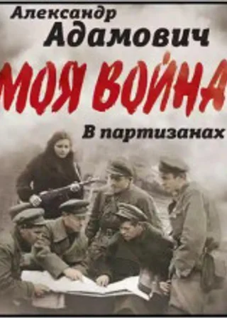 В партизанах