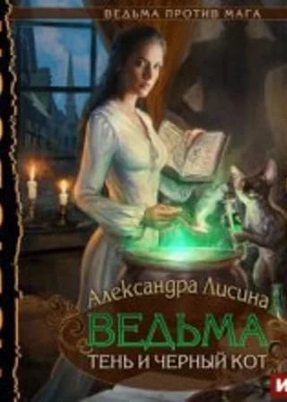 Ведьма тень и черный кот