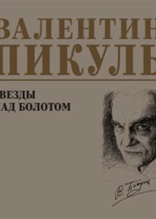 Звезды над болотом